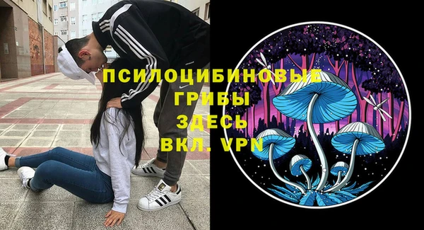 молекула духа Арсеньев