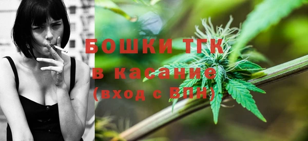 молекула духа Арсеньев