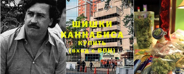 молекула духа Арсеньев