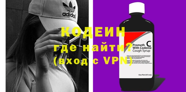 молекула духа Арсеньев