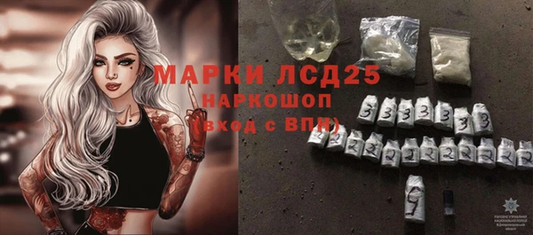 молекула духа Арсеньев