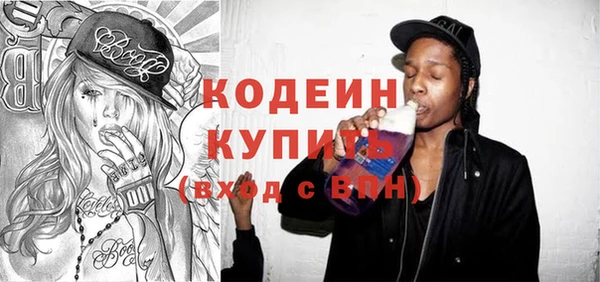 молекула духа Арсеньев