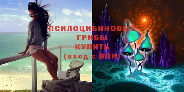 МДПВ Аркадак
