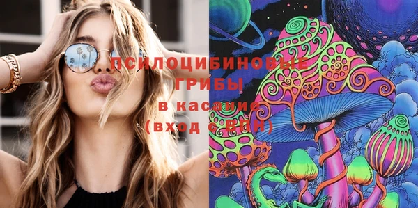 МДПВ Аркадак