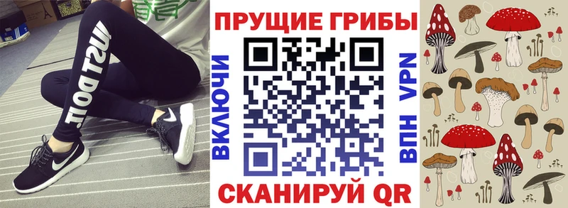 Галлюциногенные грибы мицелий  наркота  Ивангород 